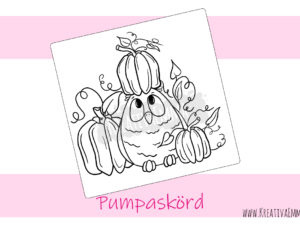 Pumpaskörd